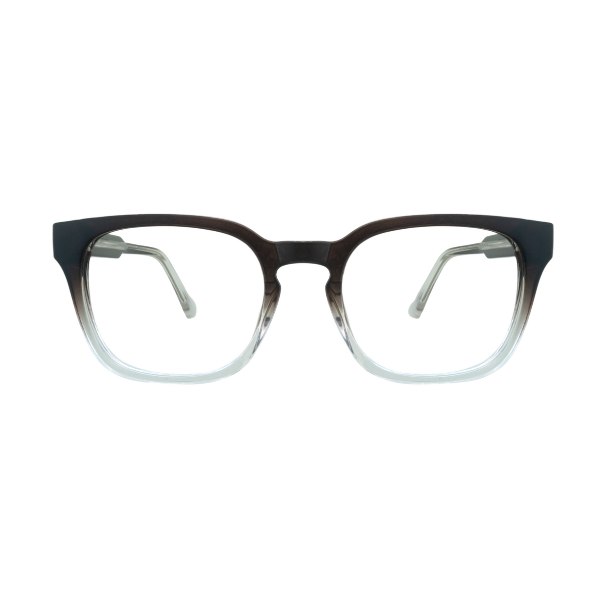GL 014 Black Transparent Eyeglasses