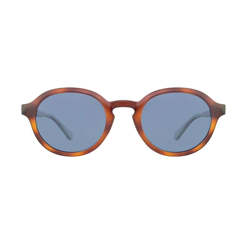 Polaroid Brown Sunglasses