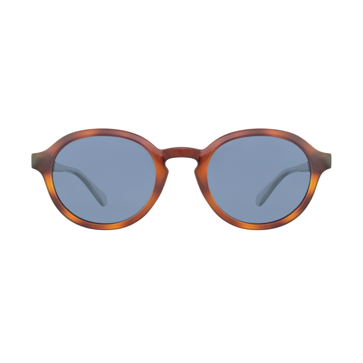 Polaroid Brown Sunglasses
