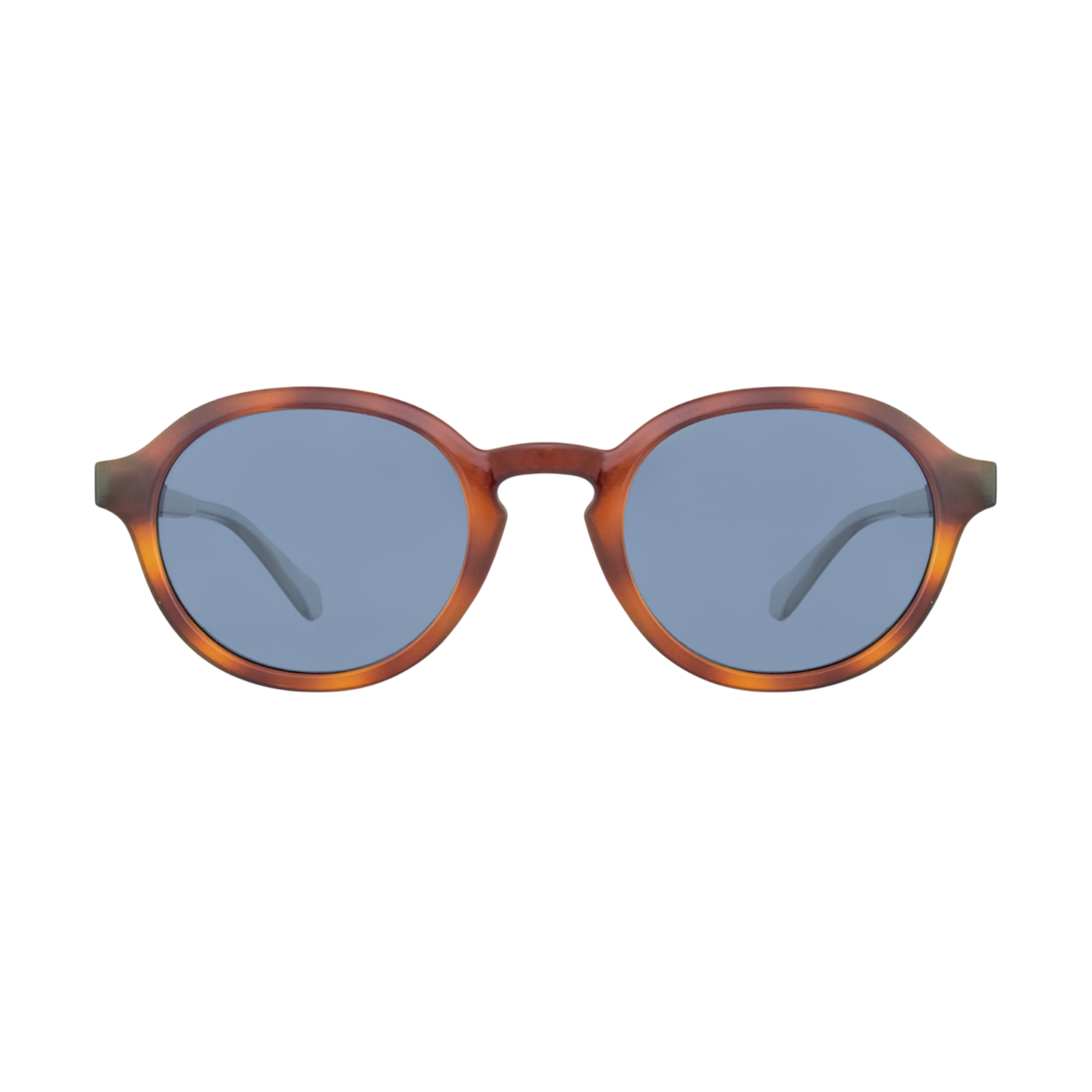 Polaroid Brown Sunglasses