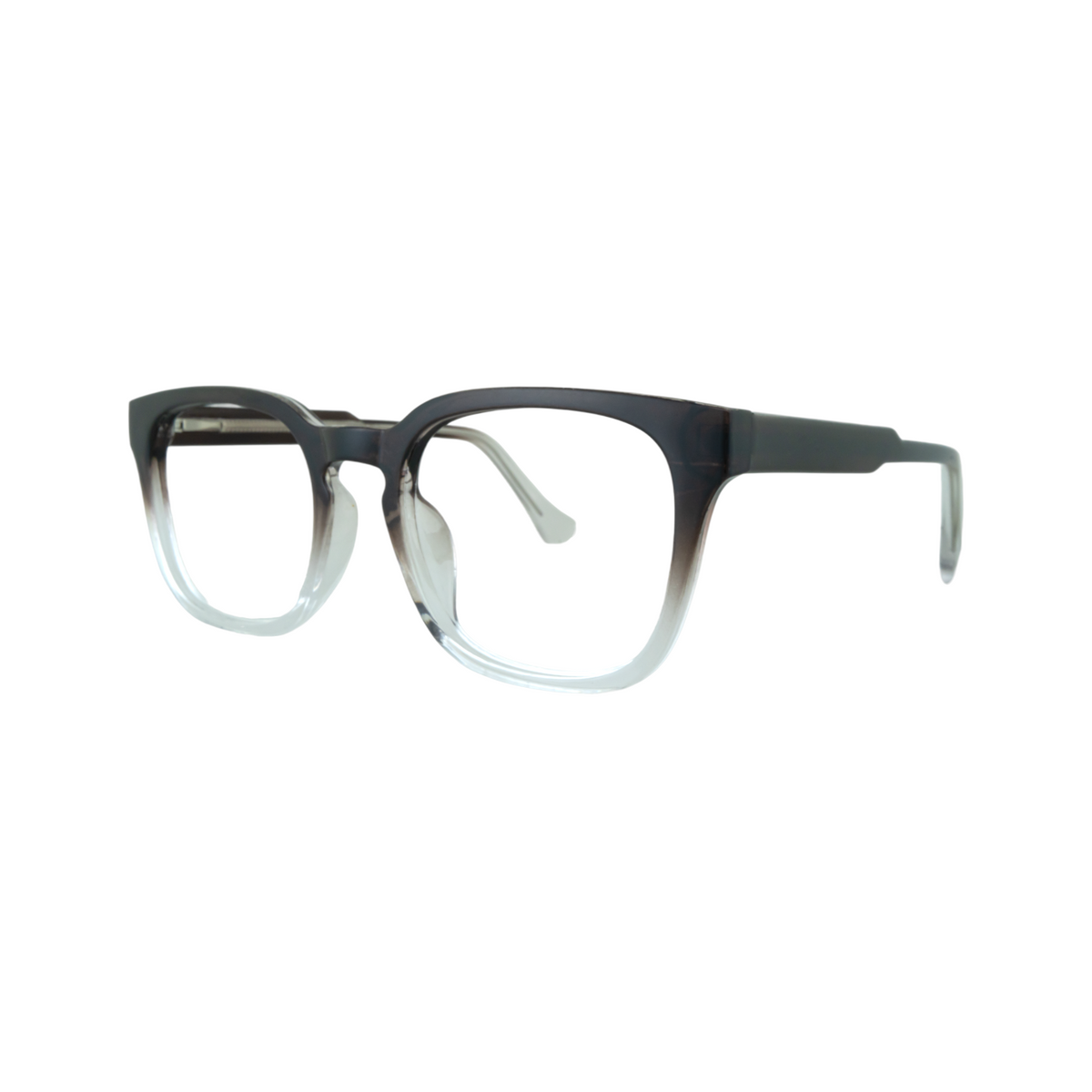 GL E00014 Black Transparent Eyeglasses