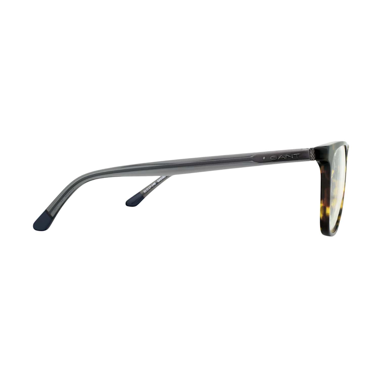 Gant GA3183-1 Tortoise Eyeglasses