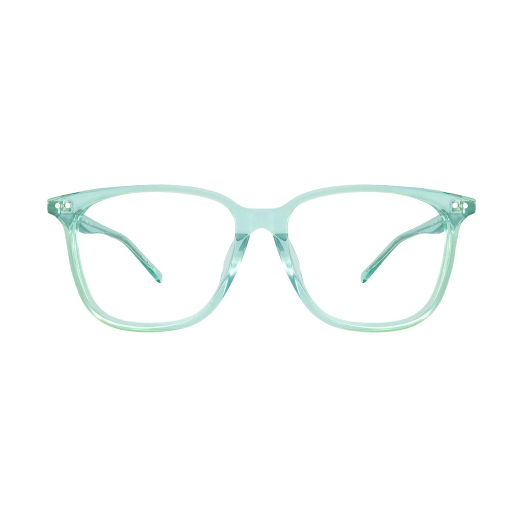 GL E00042 Transparent Eyeglasses
