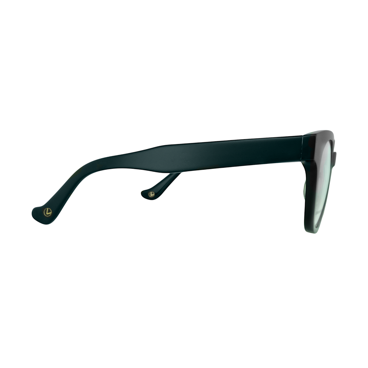 GL 001 Black Eyeglasses