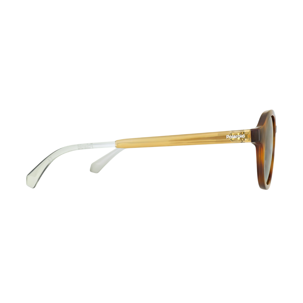 Polaroid Brown Sunglasses