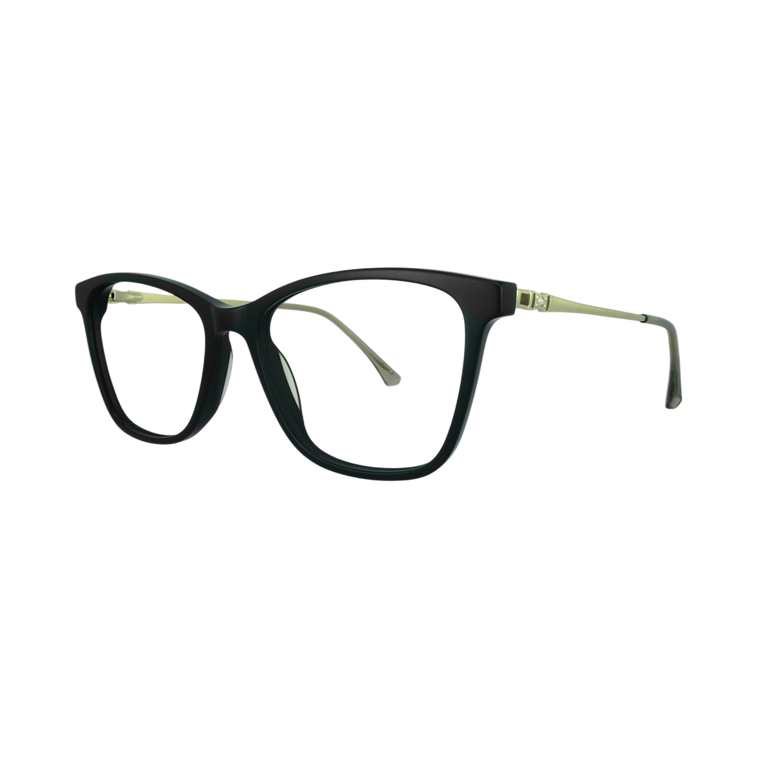 GL E00072 Black Eyeglasses