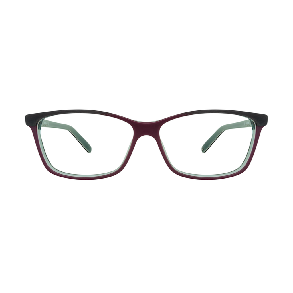 Tommy Hilfiger Eyeglasses